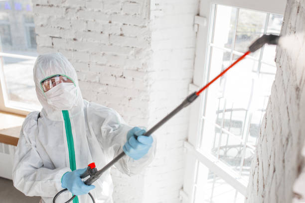 Best Commercial Mold Inspection  in Windsor Heights, IA